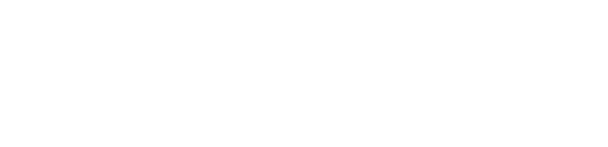 RaiseRight logo
