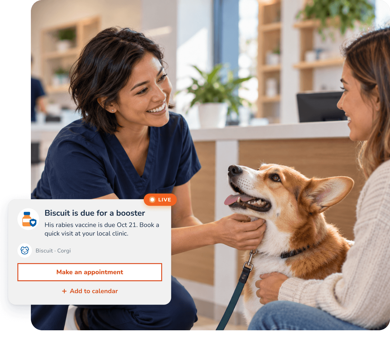 Smiling veterinarian in navy scrubs greeting a corgi and its owner at a veterinary clinic, with an overlaid appointment reminder for the dog's upcoming rabies booster vaccination.