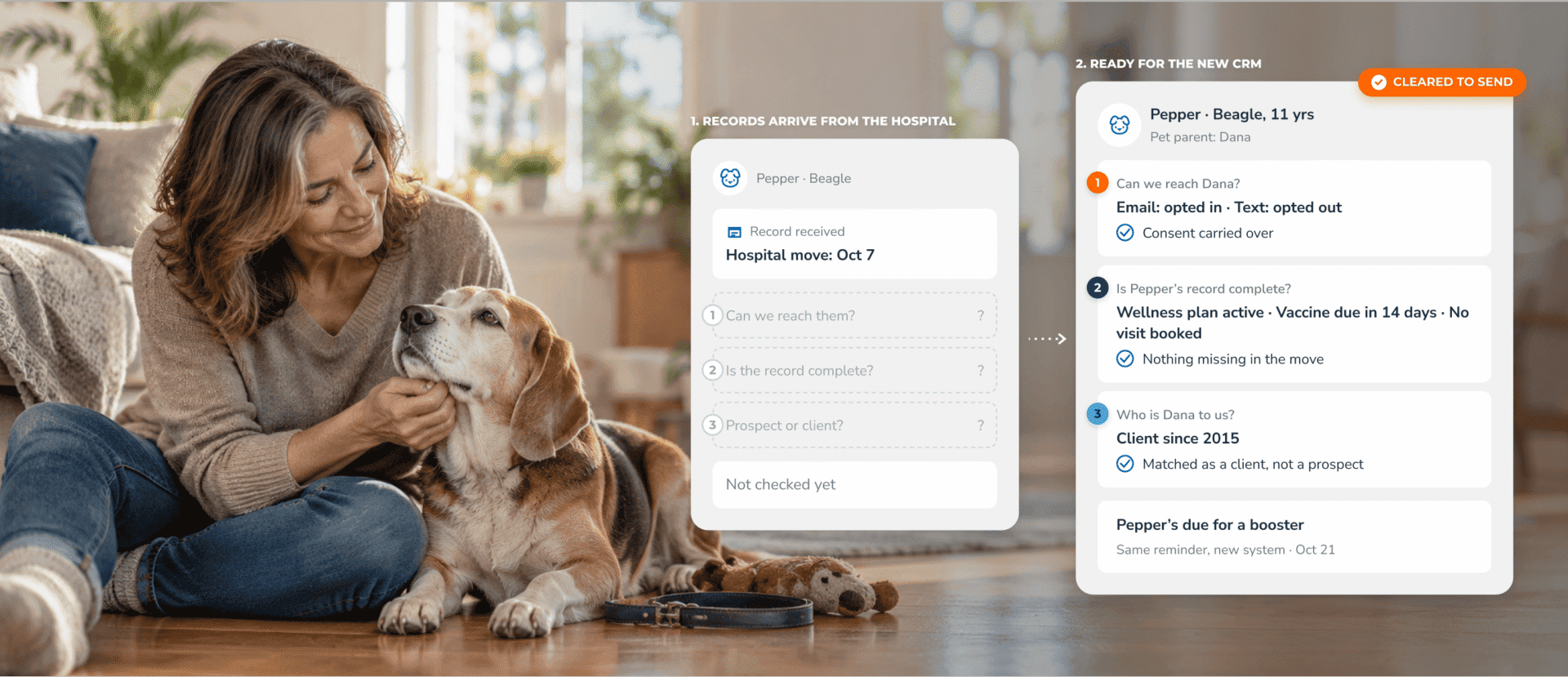 Infographic showing a woman with her beagle alongside a two-stage veterinary data migration process, where incoming hospital records are validated for contact consent, medical history, and client status before a vaccination reminder is cleared for delivery.